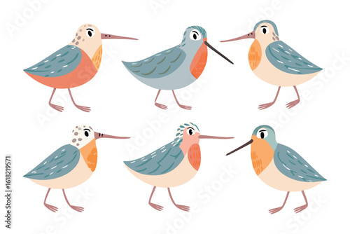 Delightful Shorebirds: A cheerful set of six vibrant shorebirds, each adorned with unique plumage, is captured in this charming illustration. The birds stand in various poses.