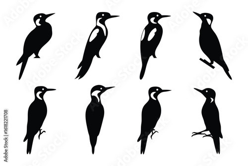 Woodpecker Silhouette Collection: A monochrome set of woodpecker silhouettes in diverse poses, depicting the elegant form and distinctive features of these fascinating avian creatures. 