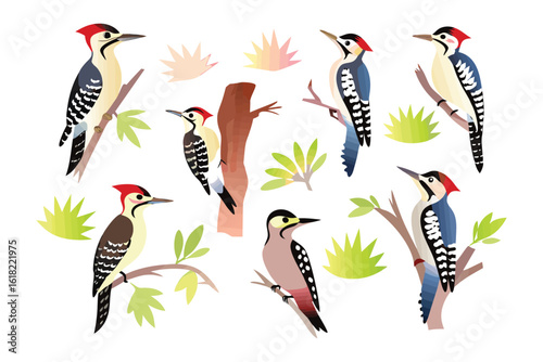 Woodpecker Variety in Watercolor Style: A collection of different woodpeckers in a watercolor style, perched on branches. Each bird is a unique composition with vibrant hues.