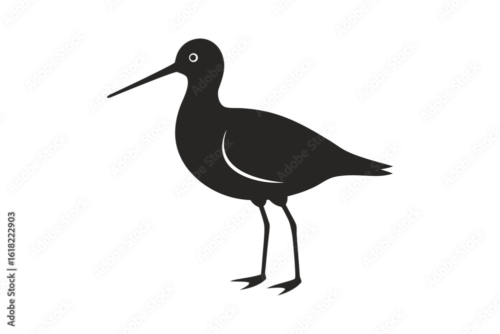 Obraz premium black and white bird