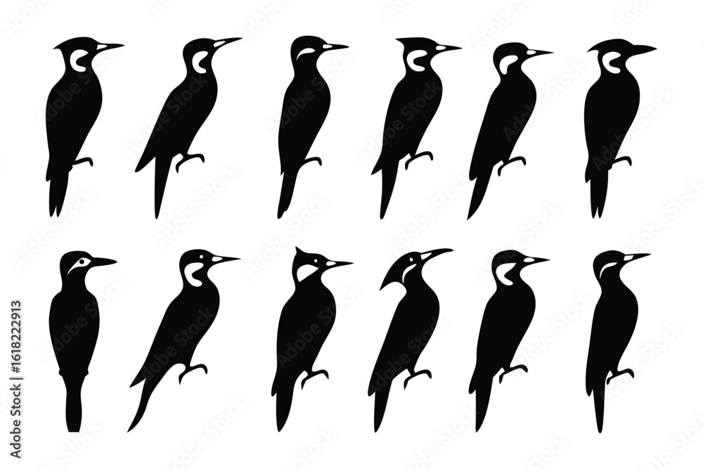 Naklejka premium Woodpecker Silhouettes: A collection of detailed silhouettes of woodpeckers, each poised in various stances. conveying the essence of the bird's striking form.