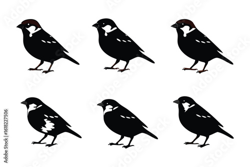 Wallpaper Mural Sparrow Silhouette: An artistic presentation of sparrow silhouettes, captured in stark detail, offering a unique visual perspective, highlighting each individual form. Torontodigital.ca