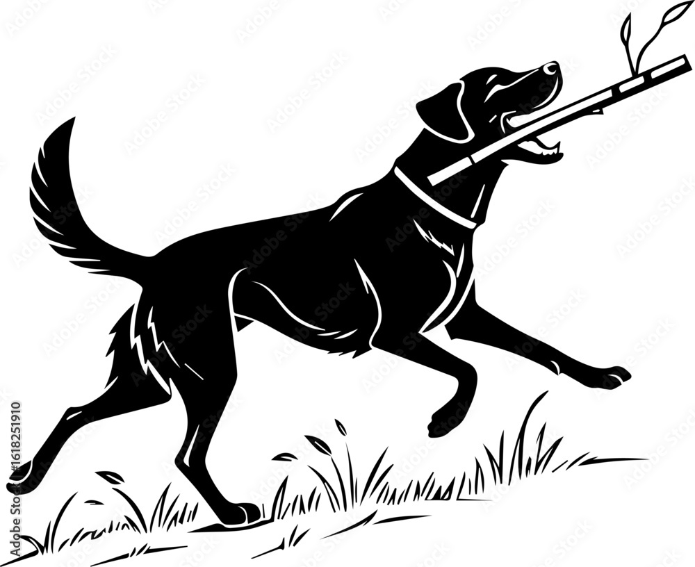 Obraz premium Energetic Black Labrador Retriever Dog Running with Stick Silhouette