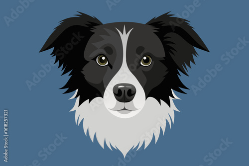 Stylized portrait of a black and white border collie dog
