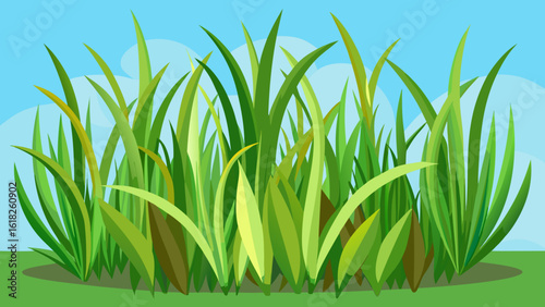 Vector art of a closeup illustration of a dense clump of green and yellow grass blades against a light green ground and sky