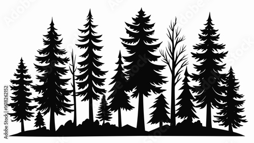 Vector art of a silhouette of a dense forest of pine and evergreen trees isolated on a white background