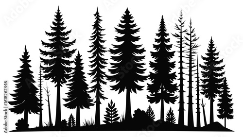 Vector art of a dense silhouette of various pine trees isolated on a white background