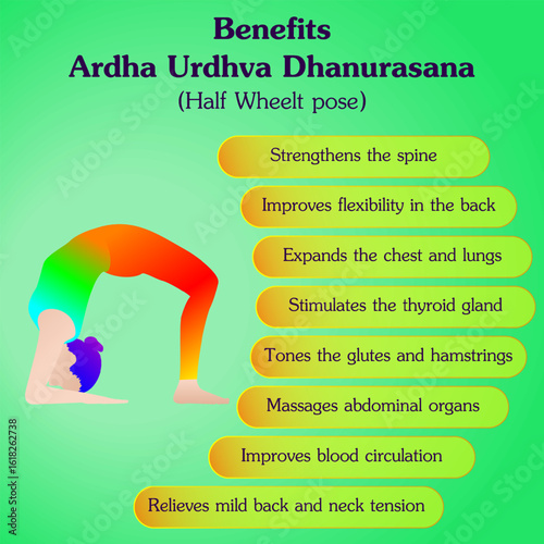 Benefits of practicing Ardha Urdhva Dhanurasana yoga pose. Half Wheel yoga pose. Isolated vector illustration