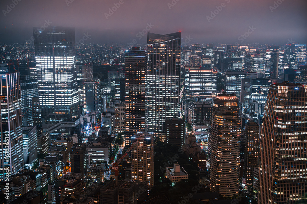 Fototapeta premium 東京タワーから見た東京のビル群の夜景