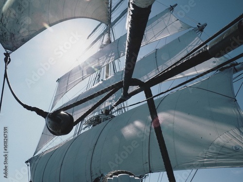 looking up at sails of a tallship in the sunshine