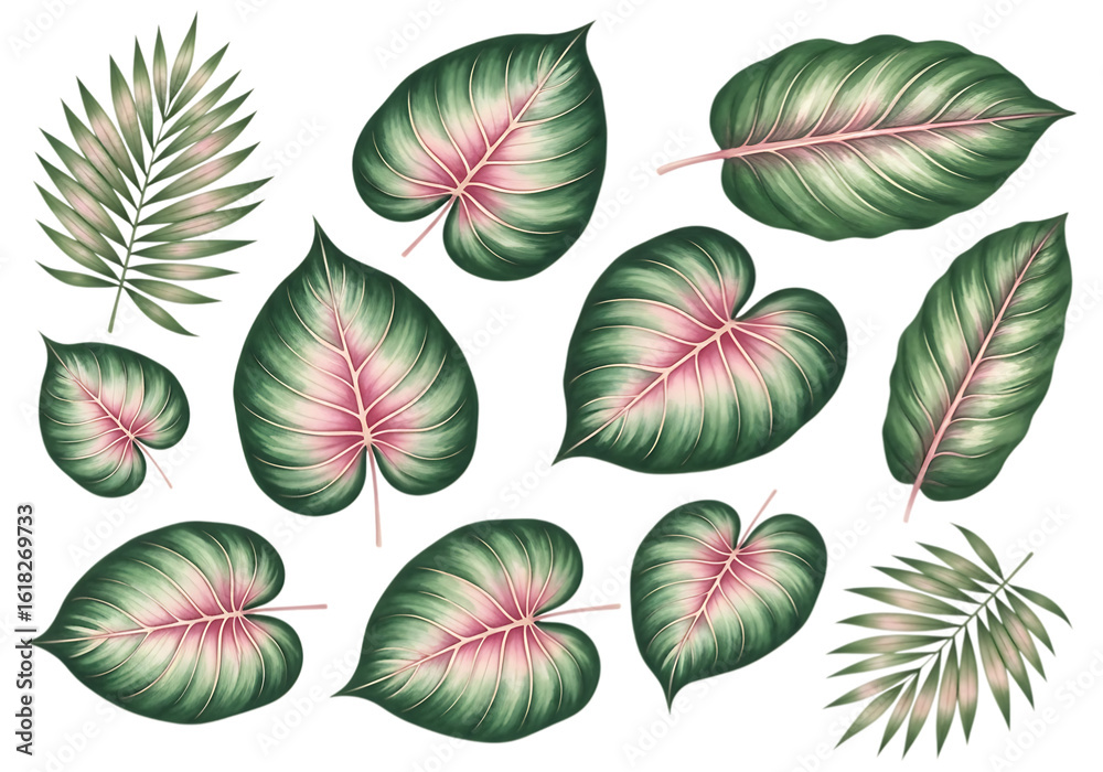 Naklejka premium Illustration of assortment of tropical leaves with pink and green accents isolated on transparent background