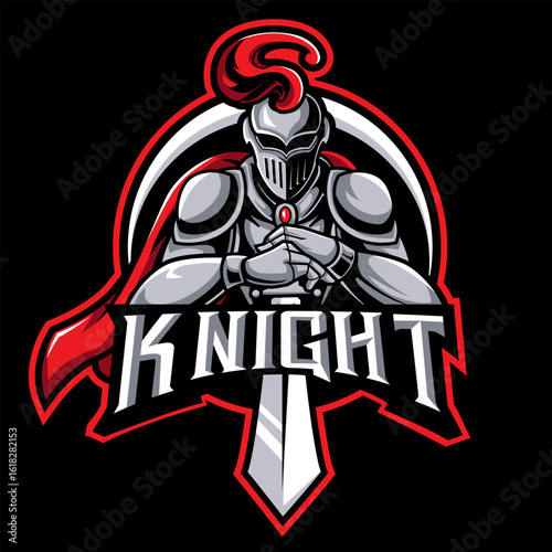 professional Knights Sword and Shield logo design template
