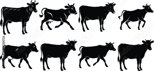 Cow Silhouette Set Walking and Standing Vector. Black Cow Animal Silhouettes for Farm Design.