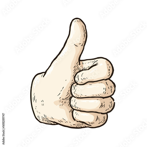 A classic hand-drawn illustration of a thumbs-up gesture, a universal symbol for approval, agreement, success, and positive feedback in social media or business.
