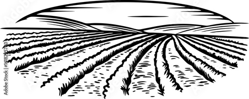 Cultivated farmland landscape with rolling hills agricultural field panorama, rural sunrise horizon illustration