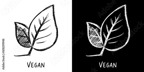 Leaf illustration with "vegan" label, isolated vector image, two design variants on transparent and black background, chalk drawing