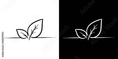 Pencil drawing of two leaves, isolated vector image, two design variants on transparent and black background, chalk drawing