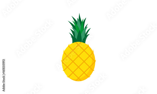 Pineapple fruit illustration design vector