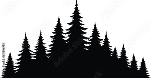 Silhouette of dense evergreen forest with tall pine trees and jagged tree line
