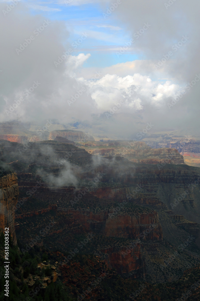 Fototapeta premium Cloudy Day At The Grand Canyon Arizona
