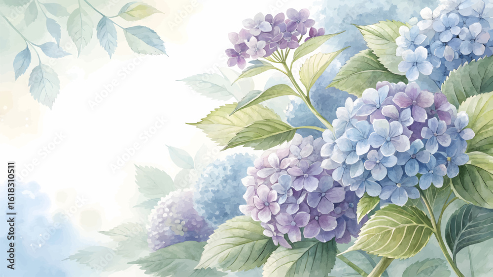 custom made wallpaper toronto digitalSoft watercolor painting of purple and blue hydrangea blossoms.