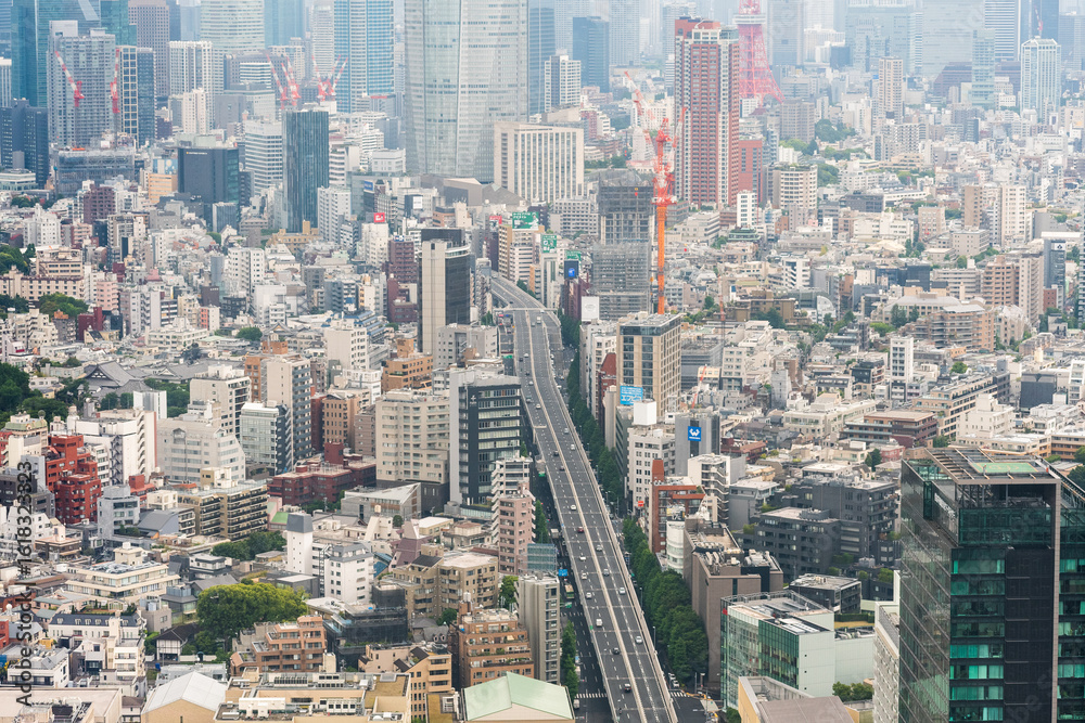 Fototapeta premium 渋谷スカイから見た東京の街並み