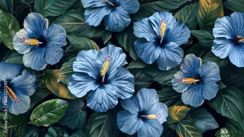 Stunning Blue Hibiscus Floral Arrangement: A Serene Tropical Paradise