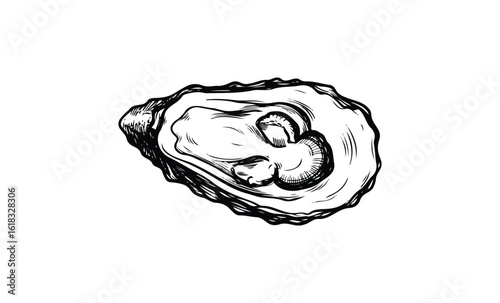 Intricate black and white illustration of an oyster shell with detailed texture. Vector retro hand drawn illustration