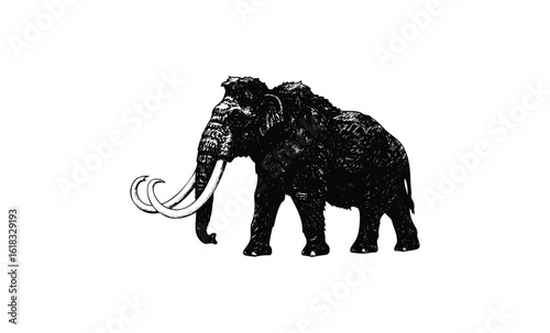 Vintage woolly mammoth sketch - prehistoric animal illustration on white background. Vector retro hand drawn illustration