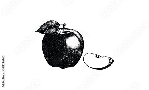 Detailed black and white illustration of a whole apple with slice and leaf. Vector retro hand drawn illustration
