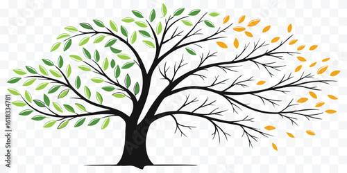 Stylized Tree Illustration Showing Transition from Green Summer Leaves to Autumn Colors and Falling Leaves Symbolizing Change and Seasons