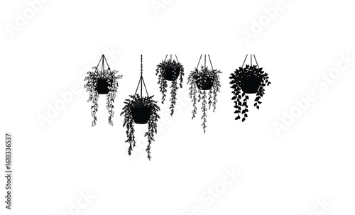 Silhouette of hanging plants with cascading leaves on white background. Vector retro hand drawn illustration