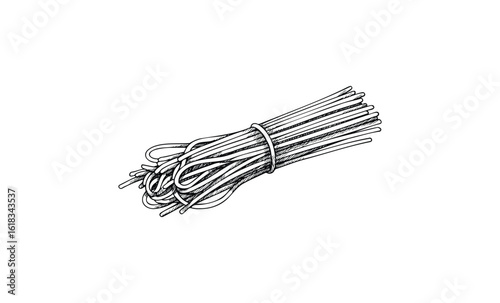 Bundle of uncooked italian spaghetti noodles tied with string on white background. Vector retro hand drawn illustration