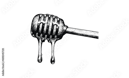 Detailed illustration of dripping honey dipper with texture and shadows. Vector retro hand drawn illustration