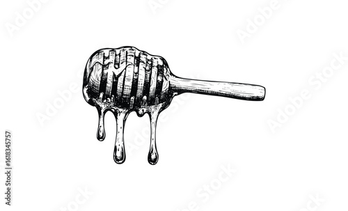 Detailed ink drawing of honey dripping from dipper on white background. Vector retro hand drawn illustration