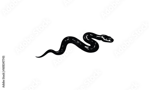 Silhouette of a wavy snake on white background. Vector retro hand drawn illustration