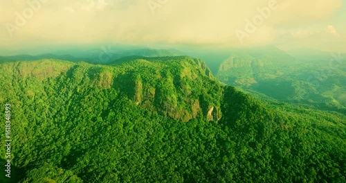 Drone Footage of Rice Paddies at Sunset
