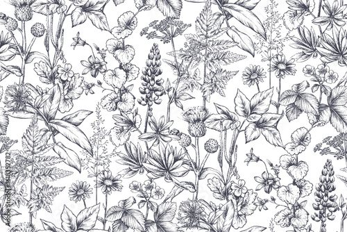 Vector seamless pattern with wildflowers, herbs. Endless floral background in vintage sketch style. Meadow plants.