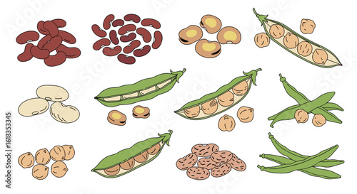 A colorful assortment of delicious and nutritious legumes ready for culinary creations