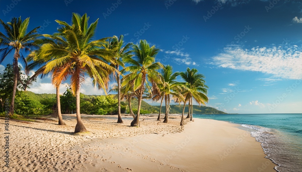 Obraz premium palm trees on the beach