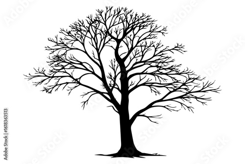 leave less tree, leafless tree silhouette