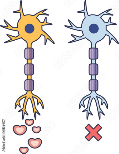 Diagram comparing a healthy dopaminergic neuron releasing dopamine with a degenerated neuron, illustrating the cellular mechanism of neurodegenerative diseases like Parkinson's.