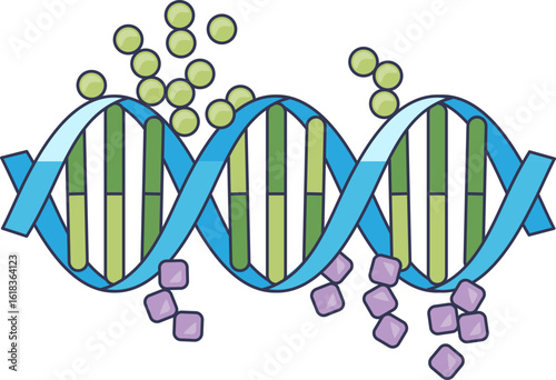 An illustration of a DNA double helix undergoing epigenetic alteration. Green circles represent DNA methylation, and purple squares show other molecular modifications affecting gene expression.