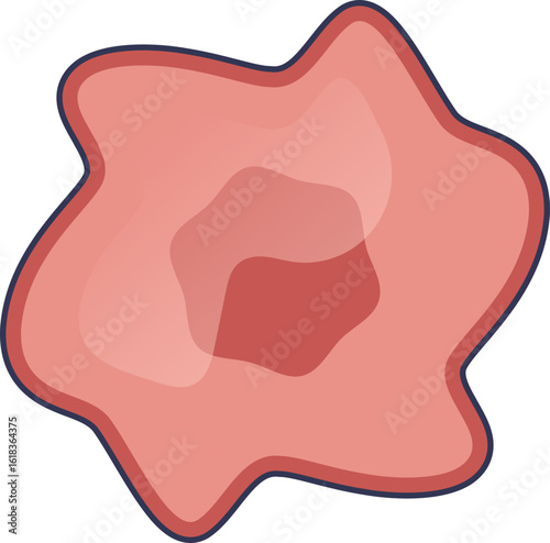 A stylized illustration of a single senescent cell. Its large, irregular shape represents cellular aging and the cessation of cell division, a key aspect of senescence.
