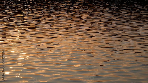 Reflective water surface with golden hues, creating a serene and tranquil atmosphere at sunset.