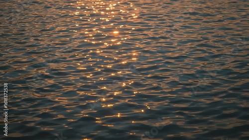 The shimmering surface of water reflects golden sunlight, creating a tranquil and captivating scene.