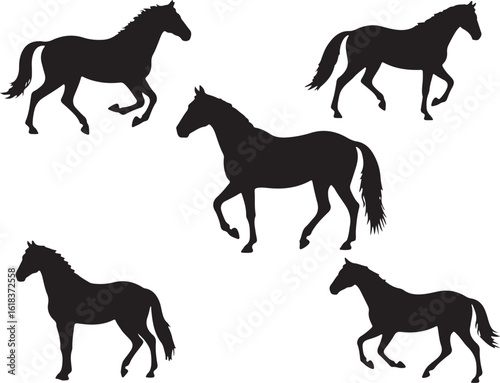 Five black horse silhouettes in different poses isolated on transparent background