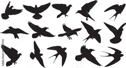 Collection of silhouetted birds in flight isolated on transparent background