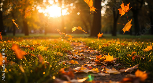 Picturesque autumn scene with vibrant orange leaves falling on a path in a park during a golden sunset.