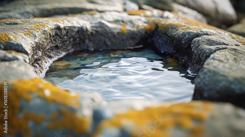 Wallpaper Mural Close-up of tranquil tide pool with vibrant rocks Torontodigital.ca